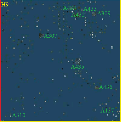File:SH9.png