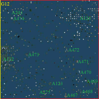 File:SG12.png