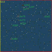 SG13