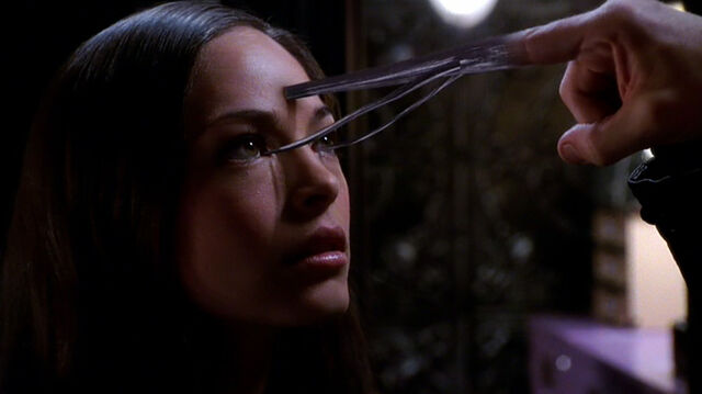 File:S715bodycount.jpg