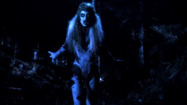 File:Smallville.s09e15.hdtv.xvid-2hd 0938.jpg