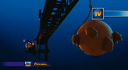 Show.png