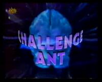 Challenge Ant