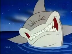 Shark