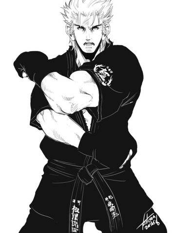 File:Falcoon-Ryo.jpg