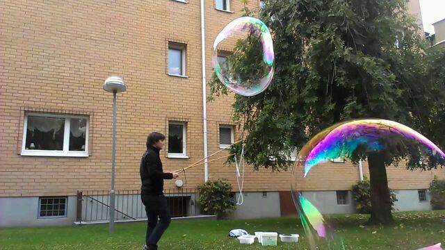 File:VIDEO0177 0000337823.jpg