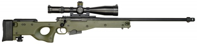 L96a1