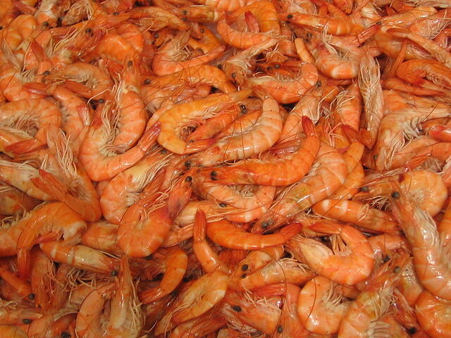 File:File-Langostinos-rafax.jpeg