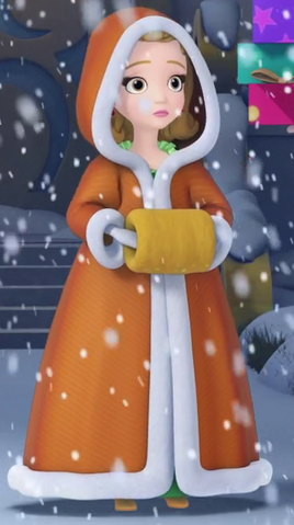 File:Amber in winter coat.png
