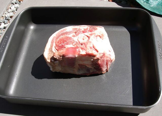 File:Solar Nest uncooked meat.jpg