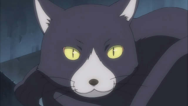 File:Cat.png