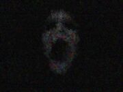 Screamsandashes
