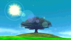 Inside-majoras-tree2-b