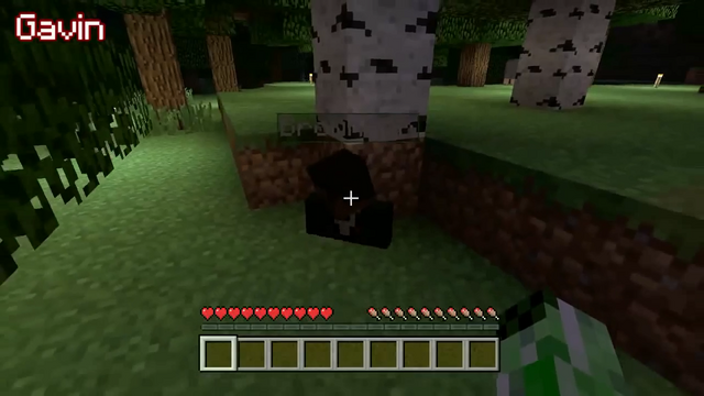 File:Ghost Ray 4.png