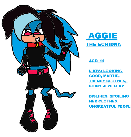 File:Aggie the echidna.png