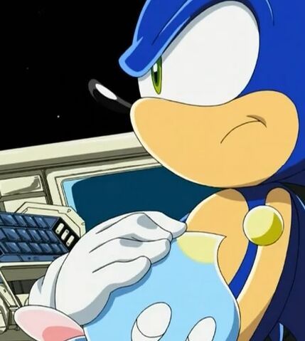 File:Sonic and cheese .jpg