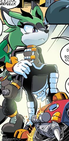 File:Clove Profile v2.jpg