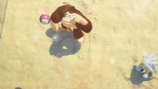 File:Donkey Kong & Silver.png