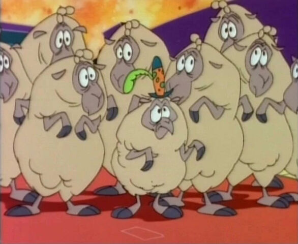 File:Gambler sheep.jpg