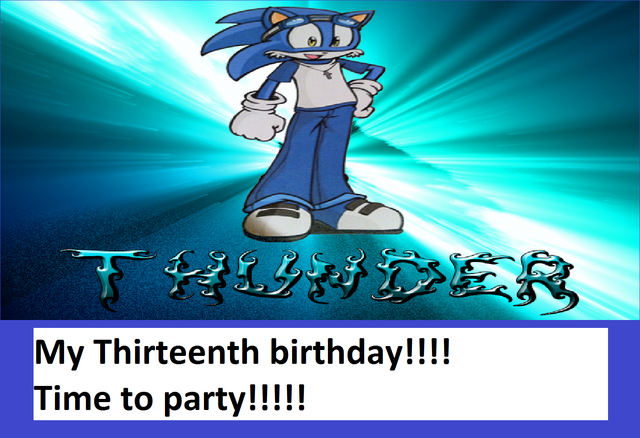 File:My thirteenth birthday!! .png