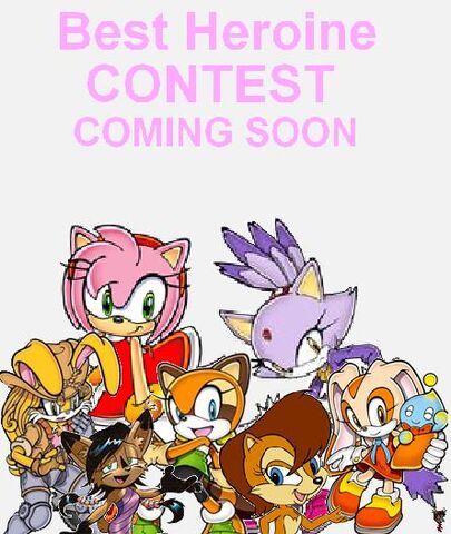 File:BestHeroineContestMewkat14.jpg