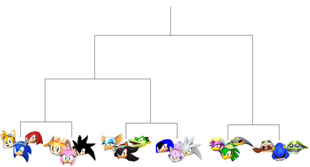 File:Tournament Racket.png