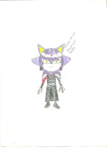 File:Phoenix the Cat 001.jpg