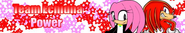 File:Team Echidna Power.png