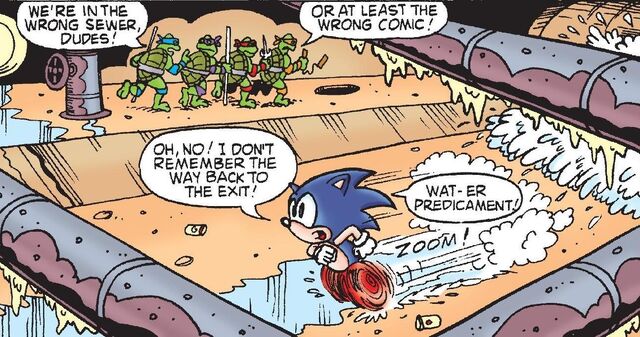 File:TMNT Cameo.jpg