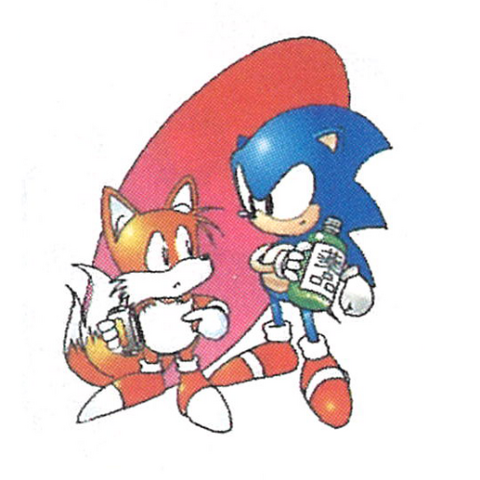 File:Sonic-2-Warning-IV.png