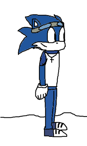 File:ThundertheHedgehog.png