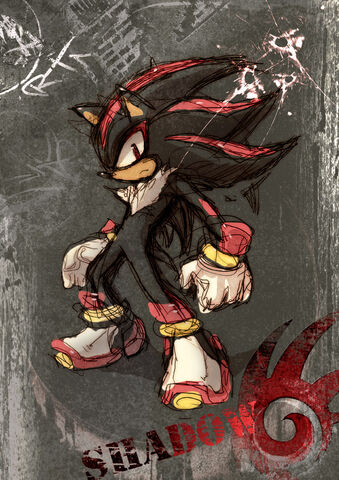 File:Shadow hedgehog 113.jpg