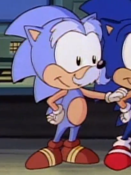Sir Charles Hedgehog (SatAM) | Sonic News Network | FANDOM powered by Wikia