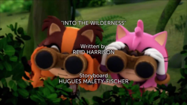 File:Into the Wilderness title.png
