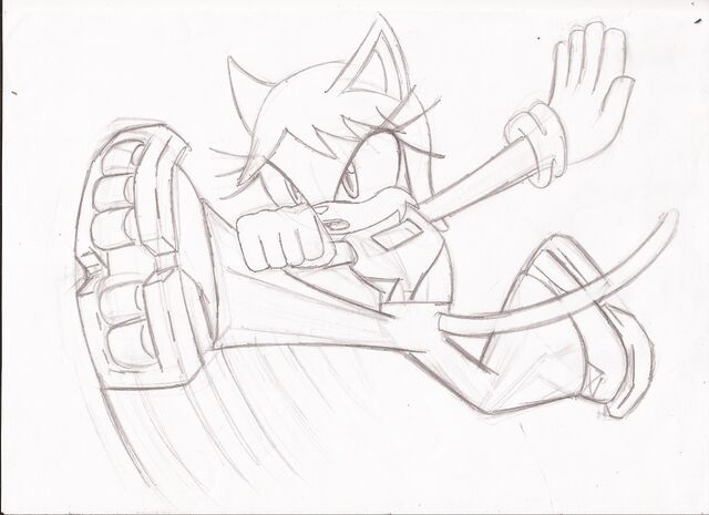 File:Myra the cat 2.jpg