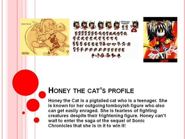 File:Honey the Cat Profile.jpg