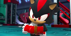 Shadowrecusa.png