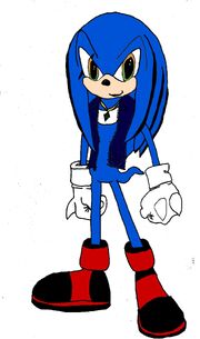Will the Echidna (Colour)