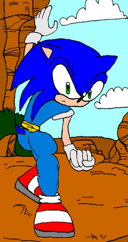 File:Sonic in new outfit.png