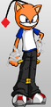 Thumbnail for version as of 21:09, June 29, 2012