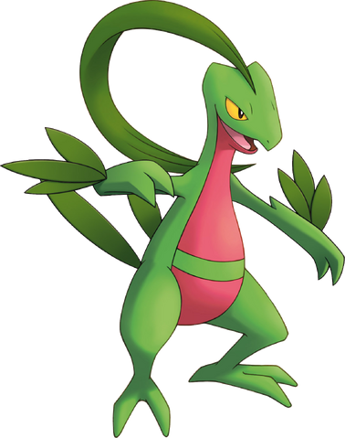 File:253Grovyle MysteryDungeon3.png