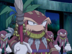 054echidna