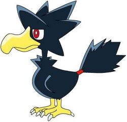 Murkrow