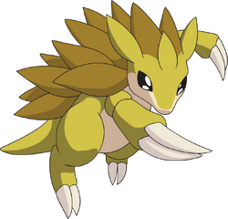 Sandslash AG anime
