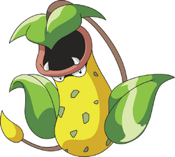 Victreebel AG anime