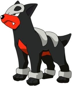 Houndour-1