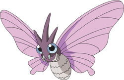 Venomoth AG anime