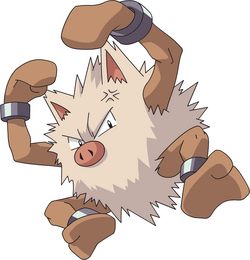 Primeape AG anime