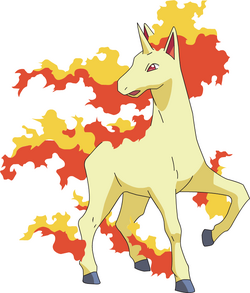 Rapidash AG anime