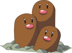 Dugtrio AG anime
